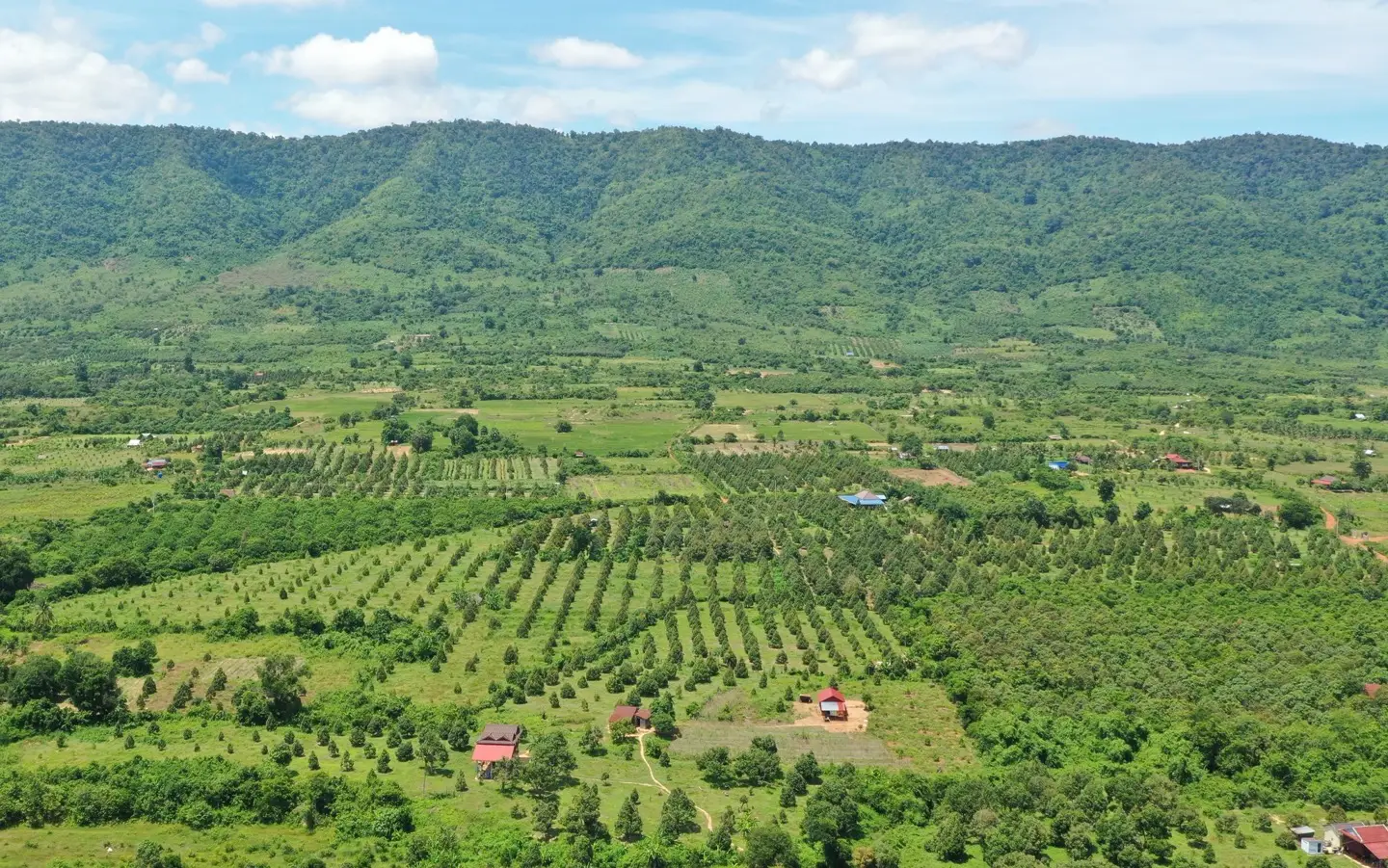Kampot - Amazing River Side Land