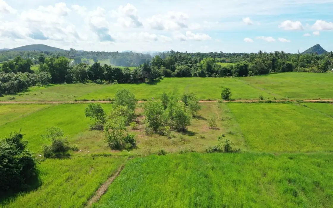 Kampot - Amazing 1.400 sqm land for home, villa or business