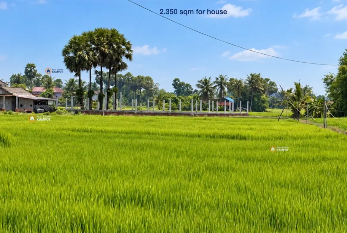 Land 2350 sqm full fenced
