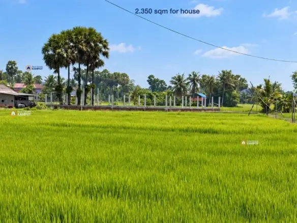 Land 2350 sqm full fenced