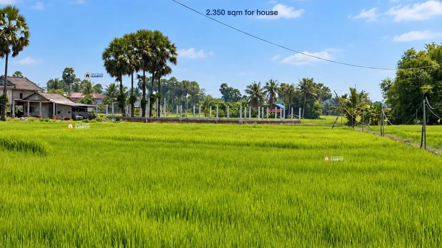Land 2350 sqm full fenced Land 2350 sqm full fenced