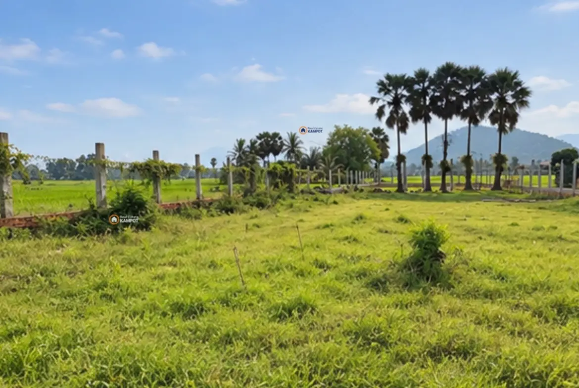 Kampot – Land full fenced, 2.350 sqm